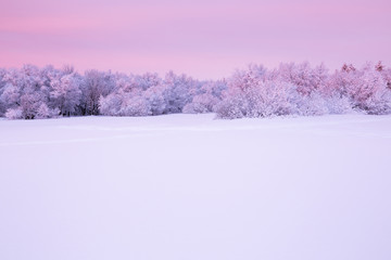 Morgenstimmung kurz vor Sonnenaufgang an einem Wintertag im Erzgebirge