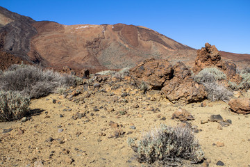 Lava Field on Tenerife, Spain.