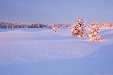     Weiße Winterlandschaft an einem klaren Wintertag im Erzgebirge 