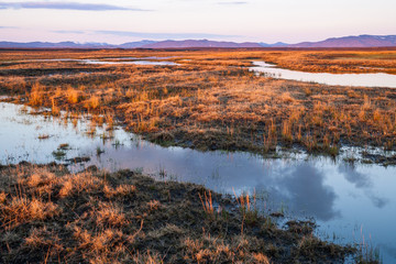 wild highland landscape in iceland at evening