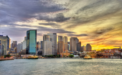 Naklejka premium Skyscrapers of the Sydney central business district in the evening