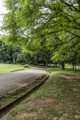 Royal Botanical Gardens, Sri Lanka