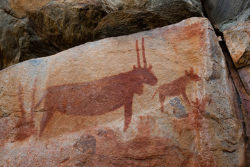 Rock art - Tsodilo Hills