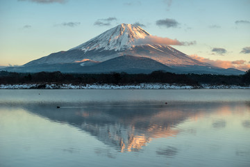 Fototapeta premium Mount Fuji, Japan