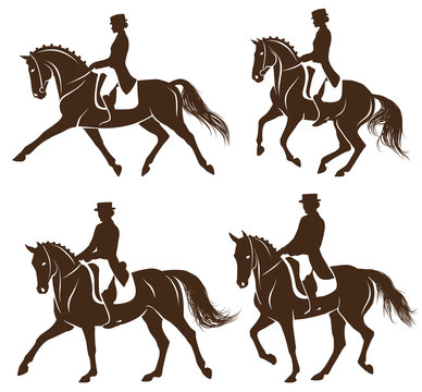 Set of dressage horses with rider