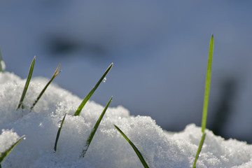 Durch den Schnee ....