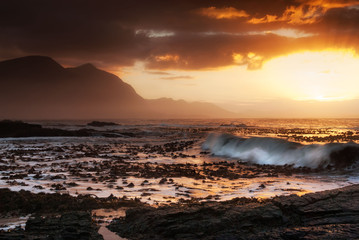 Hermanus, South Africa - Waves hit coastal kelp with golden suns