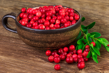 Ripe lingonberries cranberries cup close-up