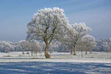 Winterlandschaft