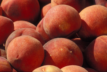 Peach Closeup