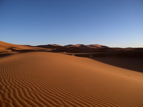 Wind Swept Sand Dunes in the Sahara Desert Morocco.