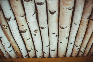 Obraz premium birch logs lot