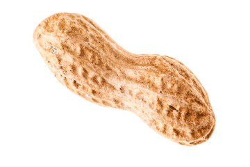 Single peanut on white