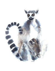 Lemur with baby  animal watercolor painting illustration isolated on white background © Yulia