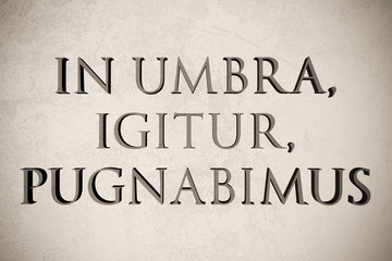Latin quote "In umbra, igitur, pugnabimus" on stone background, 3d illustration - meaning "Then we will fight in the shade"
