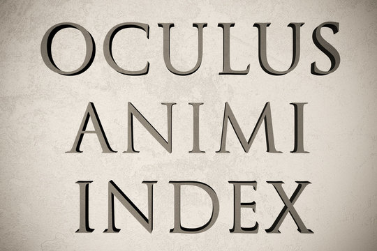 Latin quote "Oculus animi index" on stone background, 3d illustration - meaning "The eye is the informer/spy of the mind"