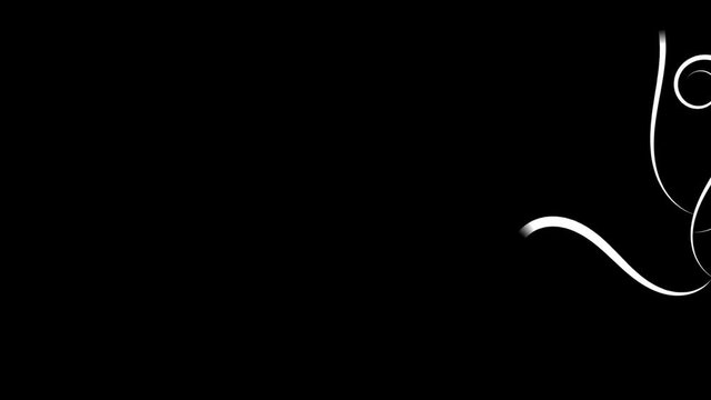 Growing Flourishes on black background -    Flat Animation