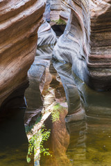 Colorful Slot Canyon in Zion National Park