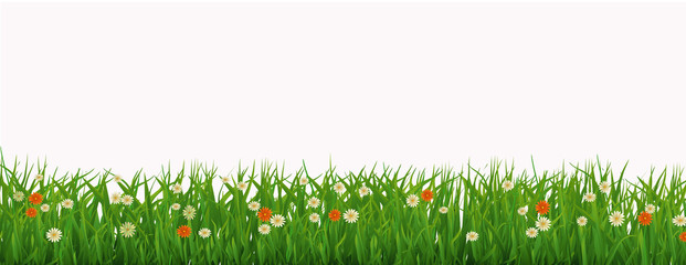 Spring garden - fresh grass and flowers