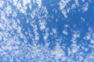 Altocumulus cloudscape on blue blue sky, Beautiful Cirrocumulus