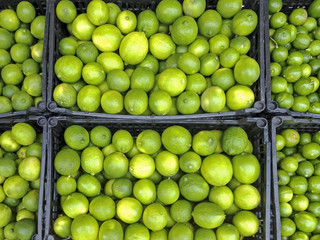  Raw lemons in a bin