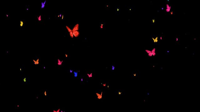 Butterflies Fly Overlay 1 - (Alpha Channel)