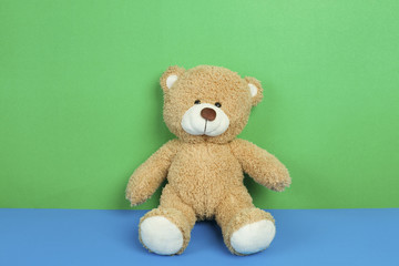Cute teddy bear toy
