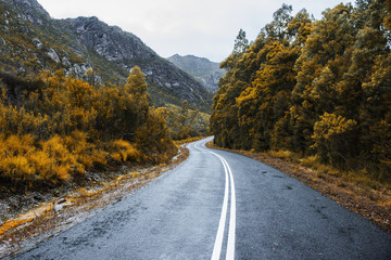 Road and mountains in the Tasmanian countryside
