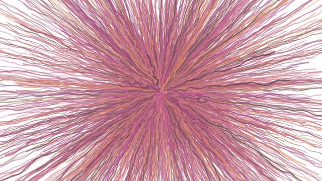 Pink Growing Ribbon Clew on White Background -  Abstract  Video Footage 