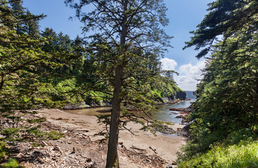 Deadman's Cove, viewed from the north side of the beach, Long Beach, Washington