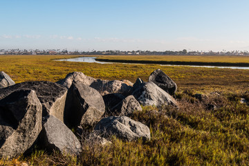 Boulders on the Tijuana River National Estuarine Research Reserve in the morning light in San Diego, California.