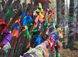Colorful satin ribbons tied to logs and trees to celebrate love and marriage, make wishes and remember the deceased. Shallow depth of field. 