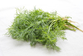 Fresh green dill