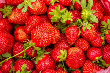 Strawberry fruit background