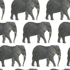 WAtercolor painting seamless pattern with  Elephants on white background