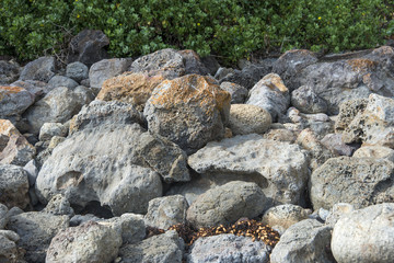 Rocks piled up beach plants copyspace.