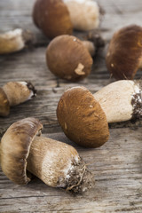 Raw mushrooms on a wooden table. Boletus edulis and chanterelles