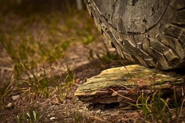 Truck On a Rock