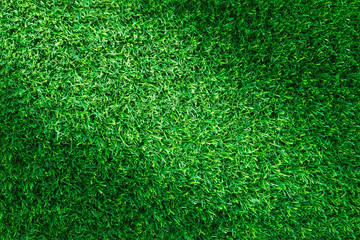 Fototapeta premium Artificial green grass texture for golf course, soccer field or sports background concept design.