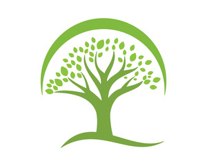 Obraz premium green tree plant icon