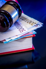 Law gavel with book and euro money - reflection on blue background