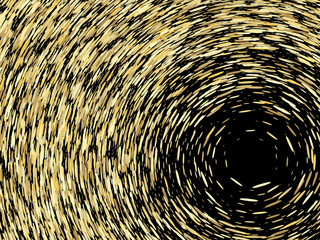 grain texture, vector abstract illustration