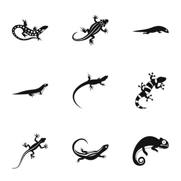Chameleon icons set, simple style