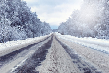 Obraz premium landscape in the winter forest with snow covered wilderness