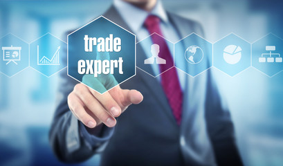 trade expert