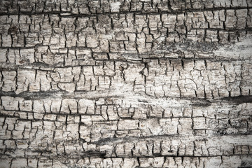 Old wood background