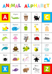 Fototapeta premium Animal zoo alphabet poster. Cute cartoon character set. Isolated. White background Flat design. Baby children education. Alligator, bear cat duck, elephant frog giraffe hamster iguana