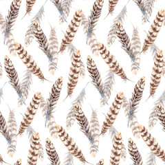 Watercolor brown beige stripe feather seamless pattern