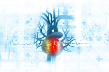ECG background with human heart