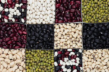 Kidney beans background, different kind haricot - red, black, white, mung  in square cells closeup top view. Healthy protein food.